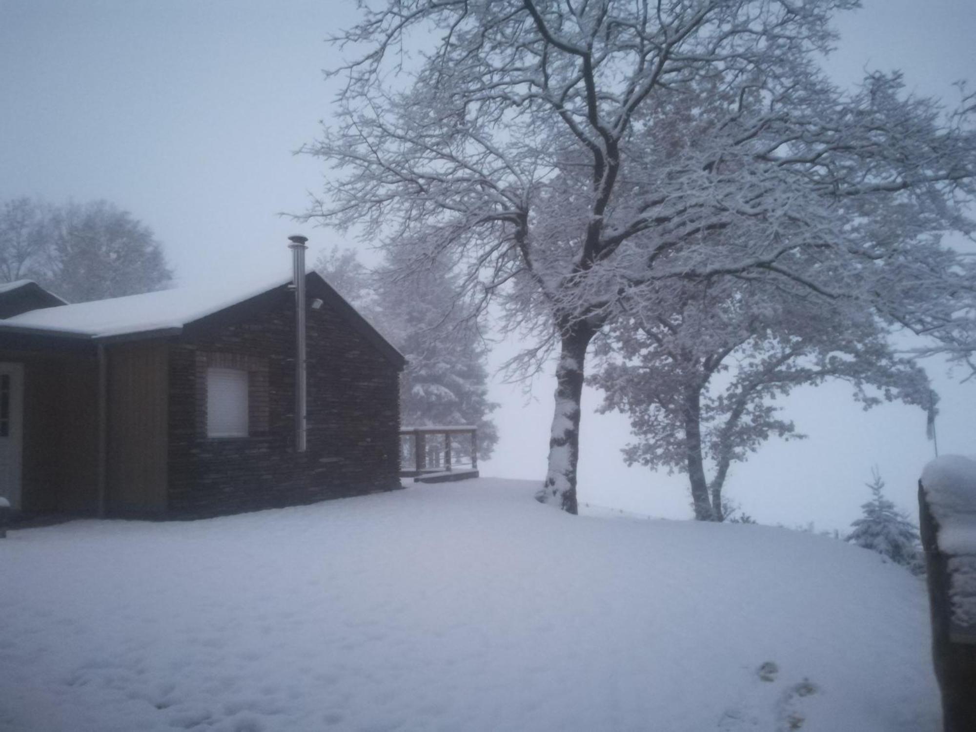 Chalet Spacious In With Garden