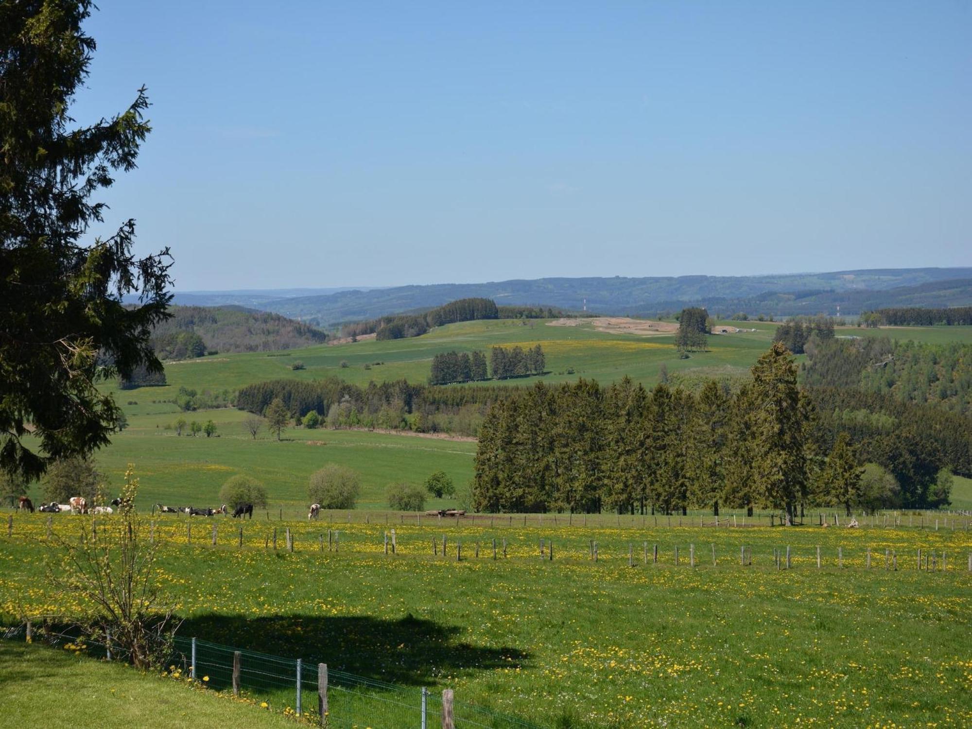 Spacious In With Garden * Vielsalm